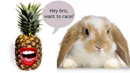 ﻿Students protest NYS “Pineapple” test