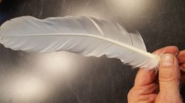 Peace Circle feather