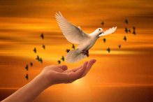 Words Matter: The Value of Character Education